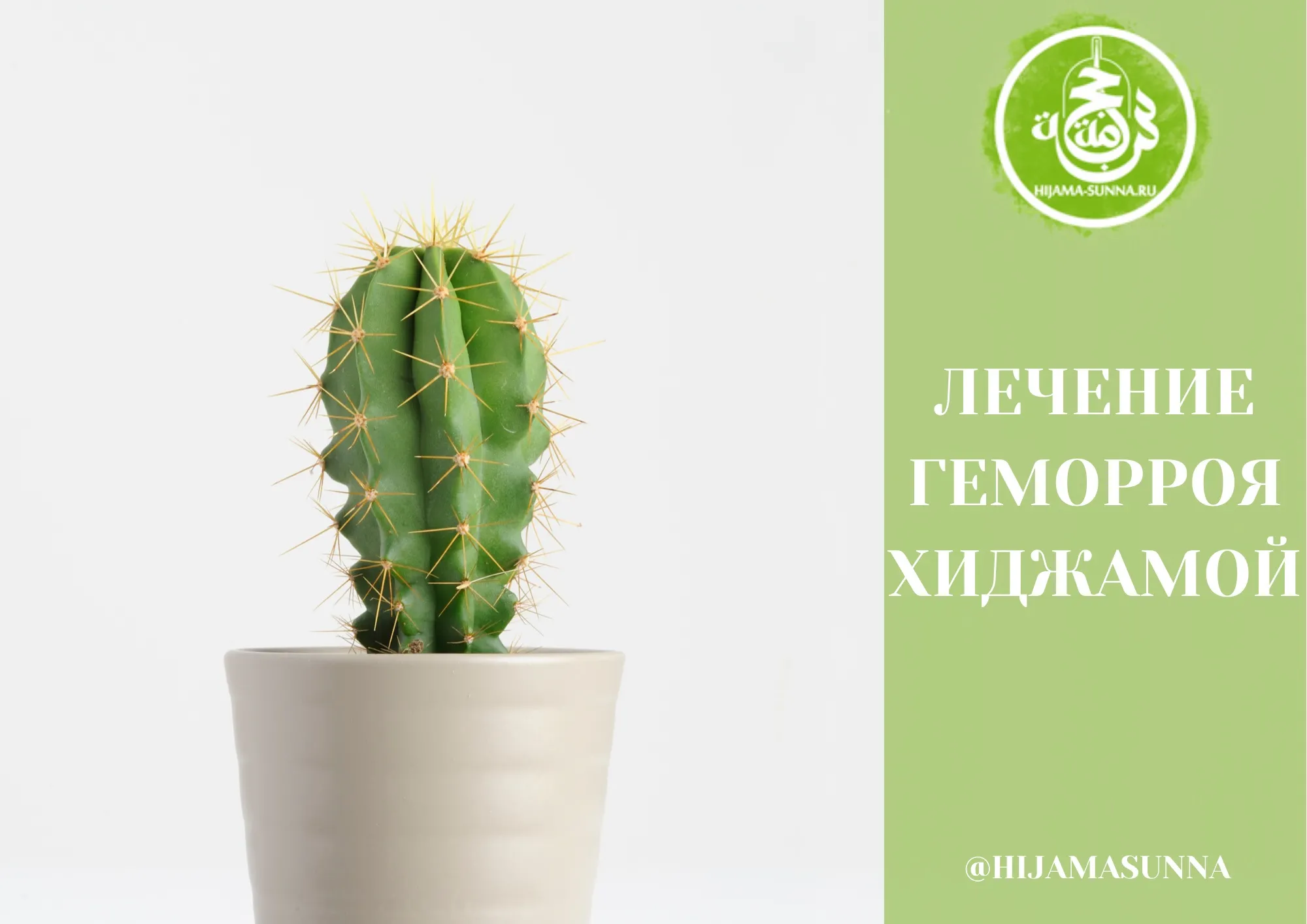 Rectin : compozitie numai ingrediente naturale.